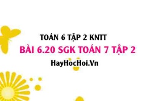 Bài 6.20 SGK Toán 7 tập 2 Kết nối tri thức